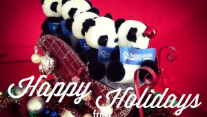 happy holidays - pandas on a sleigh