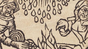 Witchcraft, Demonology and Confession in Early Modern France - Virginia Krause