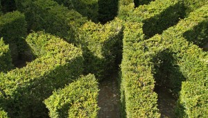Hampton Court Maze. Photo: Amanda Slater via Creative Commons.