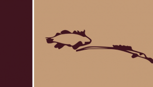 The Late Sigmund Freud