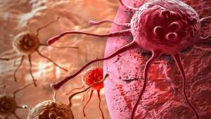 By Destroyer of furries (Own work) [CC BY-SA 4.0 (http://creativecommons.org/licenses/by-sa/4.0)], via Wikimedia Commons