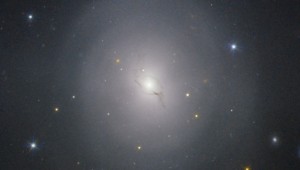 GW170817 in the galaxy NGC 4993