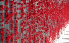 Remembering the Armistice blog post