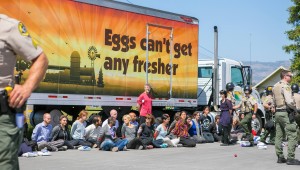 Mass arrest of animal rights activists. Photo credit Direct Action Everywhere.