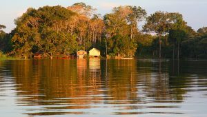A lake with a copse of tress and a house beside it, in golden light.