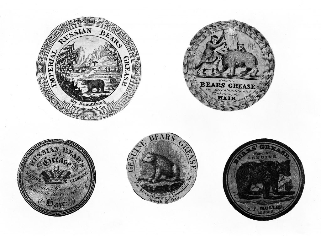 Bear’s Grease A Potted History Fifteen Eighty Four Cambridge