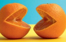 Cover of Understanding Language through Humor, 2nd edition featuring two oranges cut to look like laughing mouths